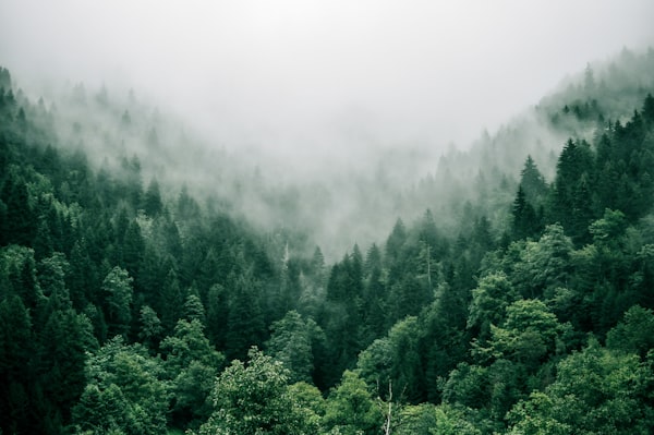 生物园自然景观